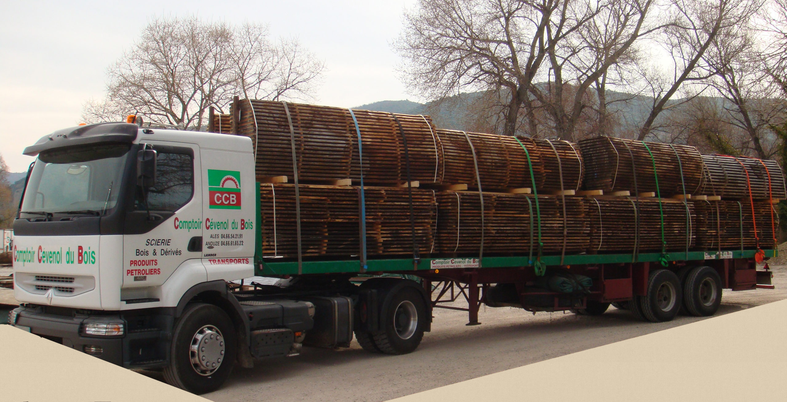 1.arrivage-pin-douglas